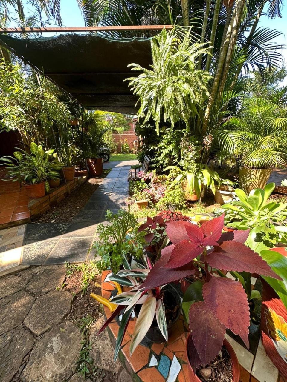 Posada Portal Del Iguazu Puerto Iguazu Exterior photo